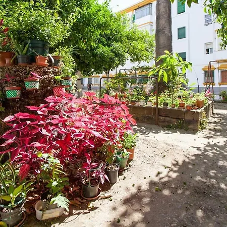 A Pies Del Alcázar Appartamento